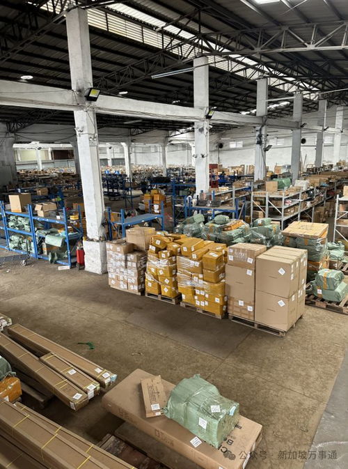 一站式物流解決方案 中國至新加坡低價海運、空運及貨物倉儲服務